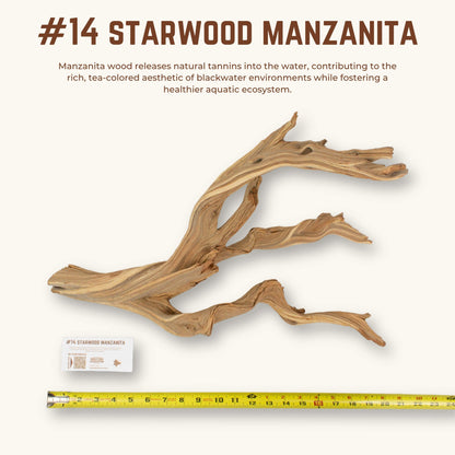 Starwood Manzanita | WYSIWYG Pieces