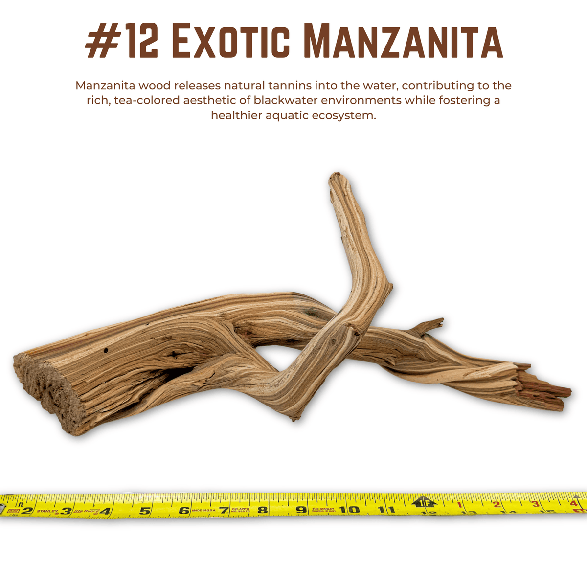 Exotic Manzanita | WYSIWYG Pieces