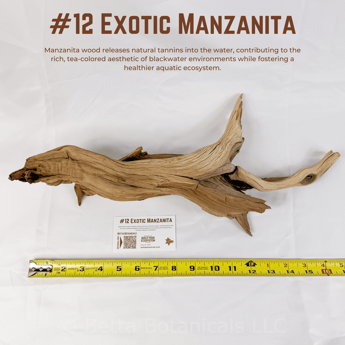 Exotic Manzanita | WYSIWYG Pieces