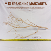 Branching Manzanita | WYSIWYG Pieces