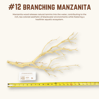 Branching Manzanita | WYSIWYG Pieces