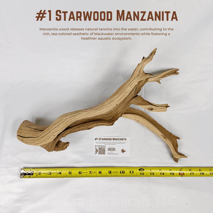 'Starwood' Manzanita | WYSIWYG Pieces