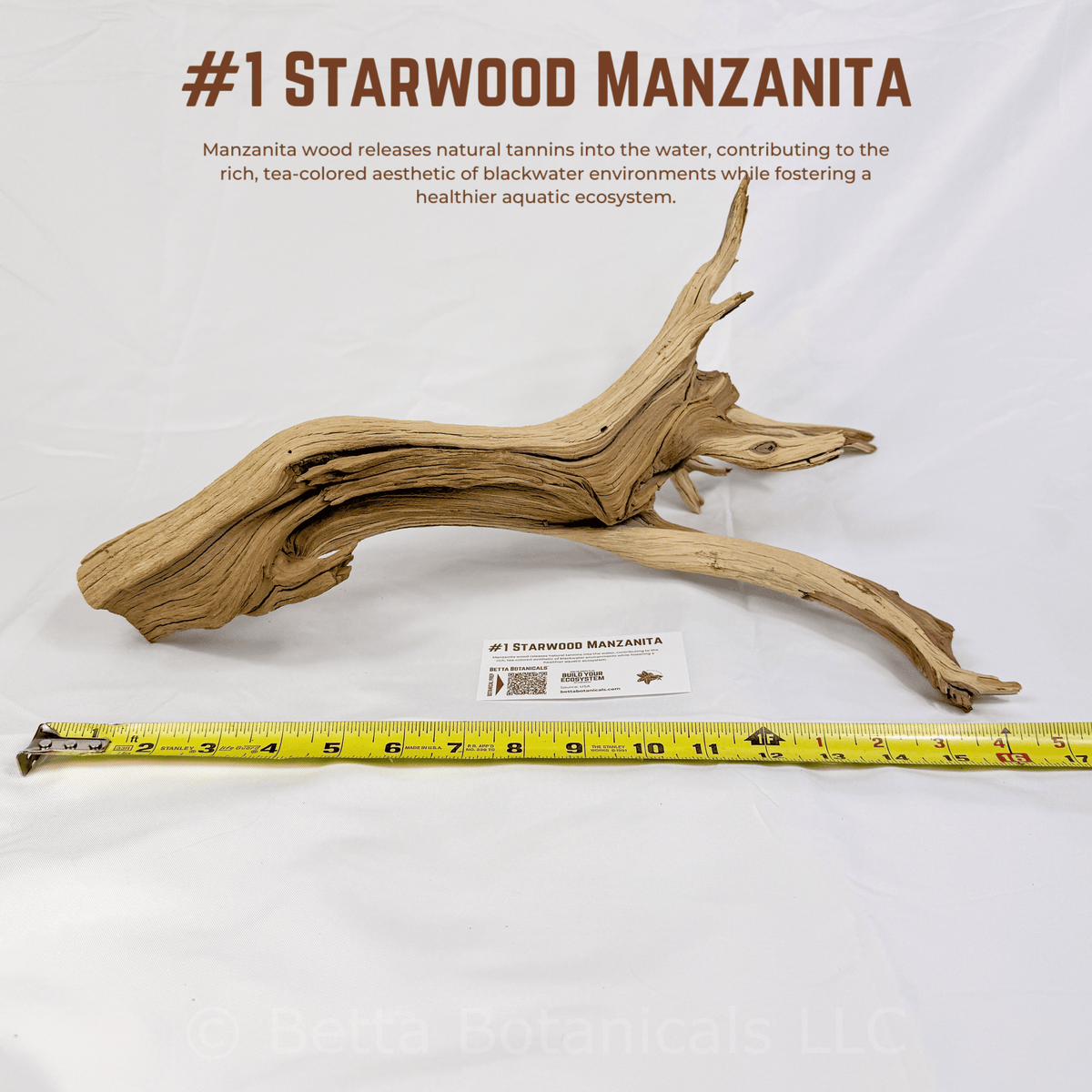 'Starwood' Manzanita | WYSIWYG Pieces