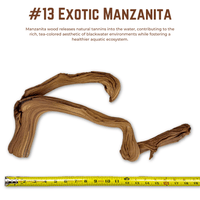 Exotic Manzanita | WYSIWYG Pieces