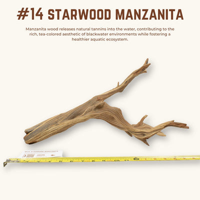 Starwood Manzanita | WYSIWYG Pieces