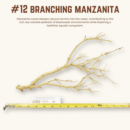 Branching Manzanita | WYSIWYG Pieces