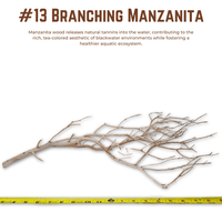 Branching Manzanita | WYSIWYG Pieces