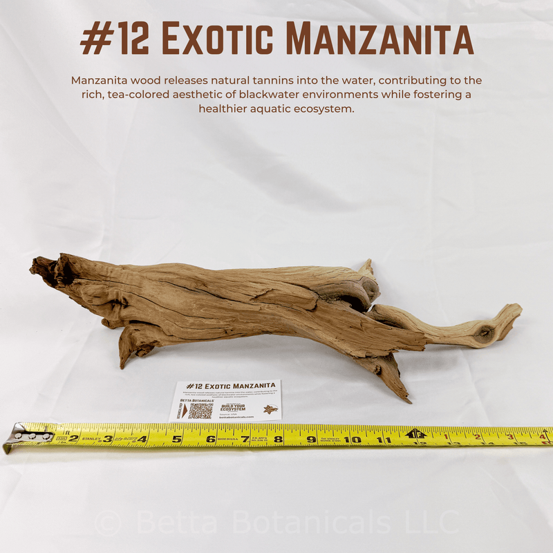 Exotic Manzanita | WYSIWYG Pieces