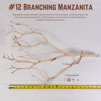 Branching Manzanita | WYSIWYG Pieces