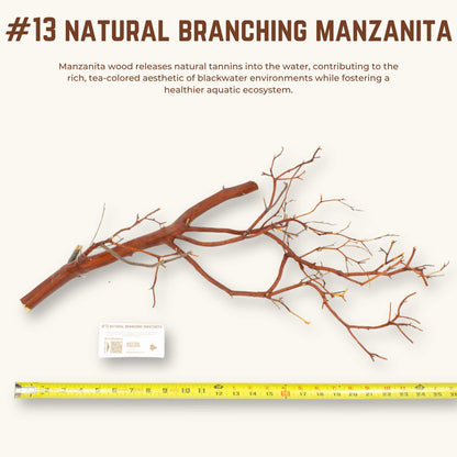Natural Branching Manzanita | WYSIWYG Pieces