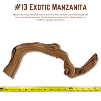 Exotic Manzanita | WYSIWYG Pieces