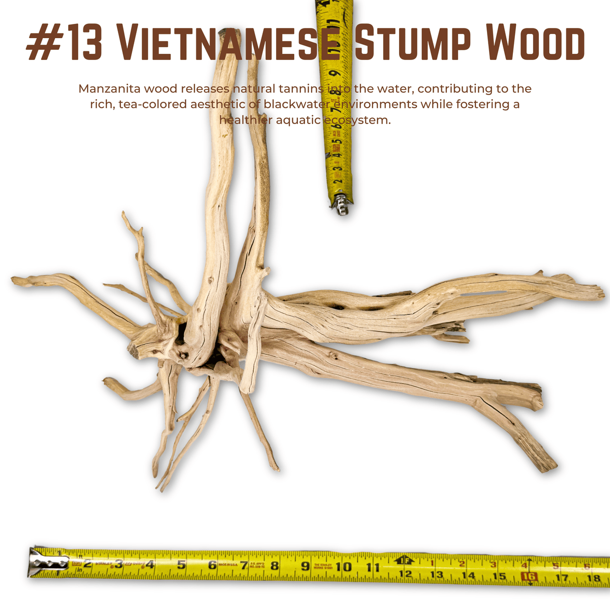 Vietnamese Stump Wood | WYSIWYG Pieces