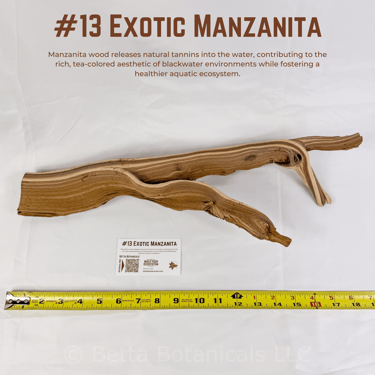 Exotic Manzanita | WYSIWYG Pieces