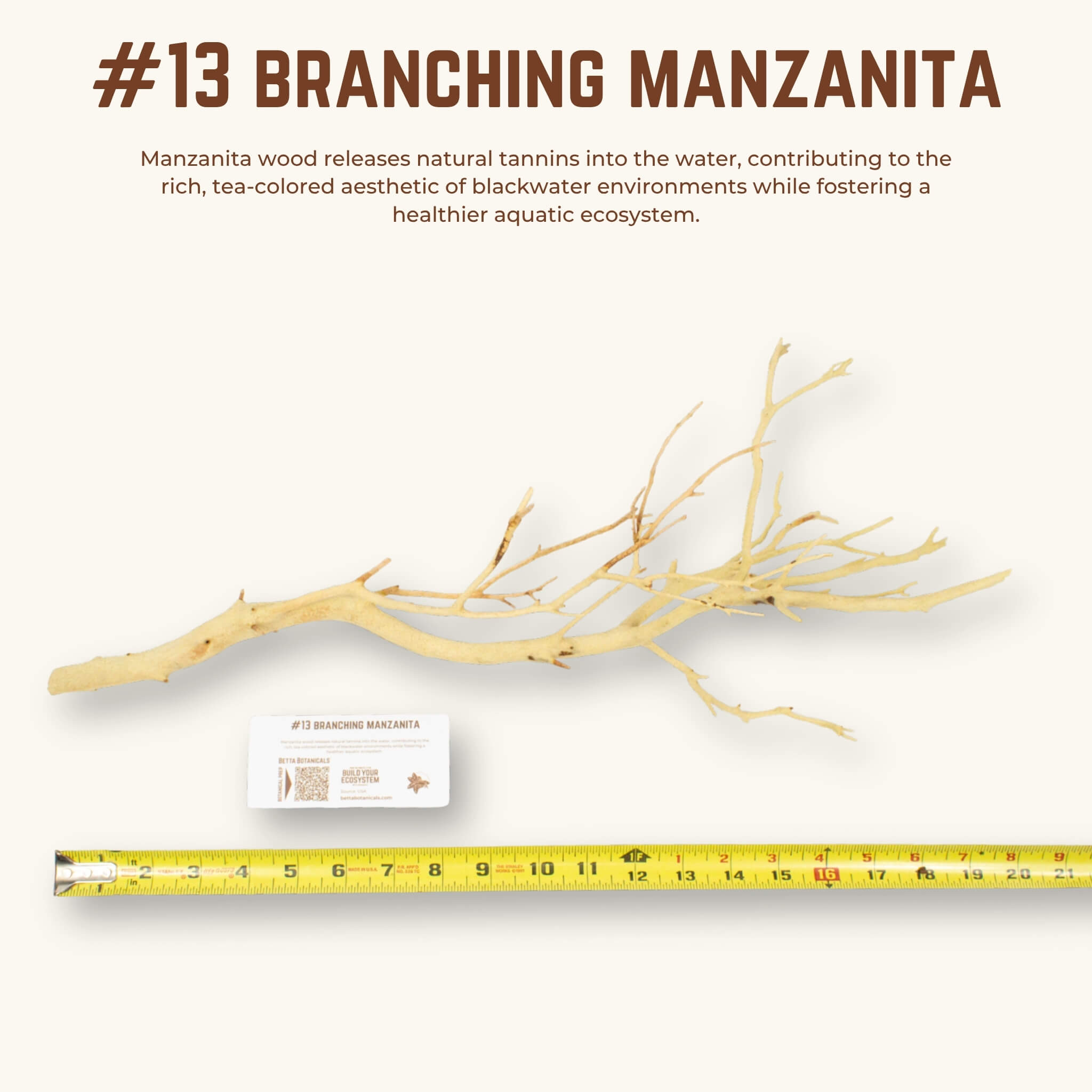 Branching Manzanita | WYSIWYG Pieces