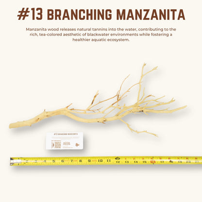 Branching Manzanita | WYSIWYG Pieces