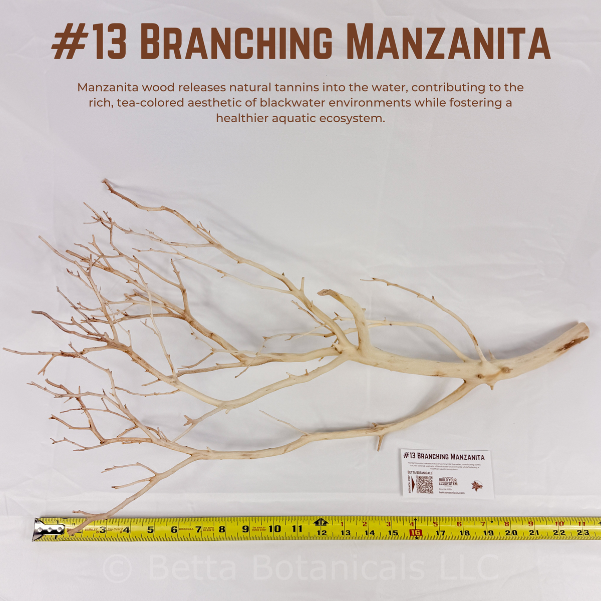 Branching Manzanita | WYSIWYG Pieces