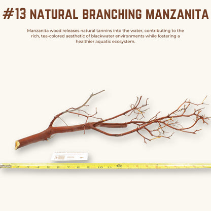 Natural Branching Manzanita | WYSIWYG Pieces