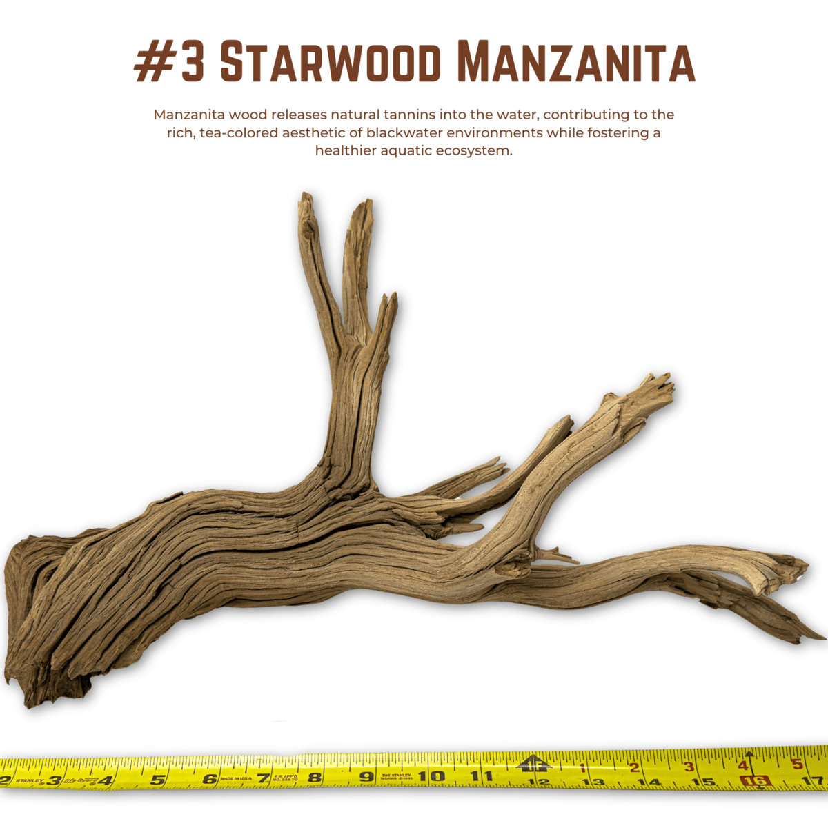 'Starwood' Manzanita | WYSIWYG Pieces