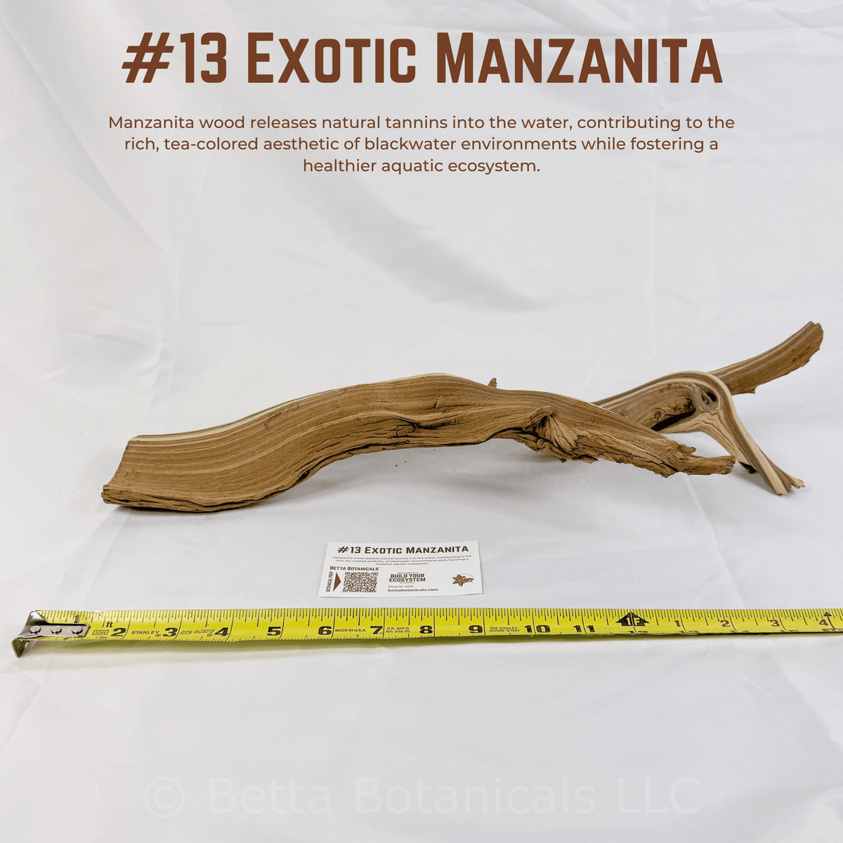 Exotic Manzanita | WYSIWYG Pieces