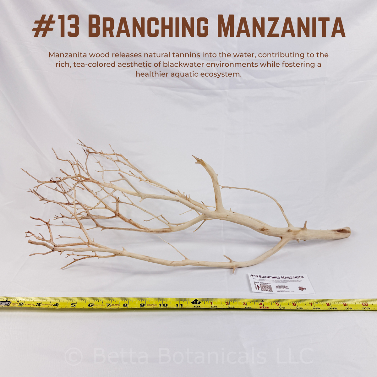 Branching Manzanita | WYSIWYG Pieces