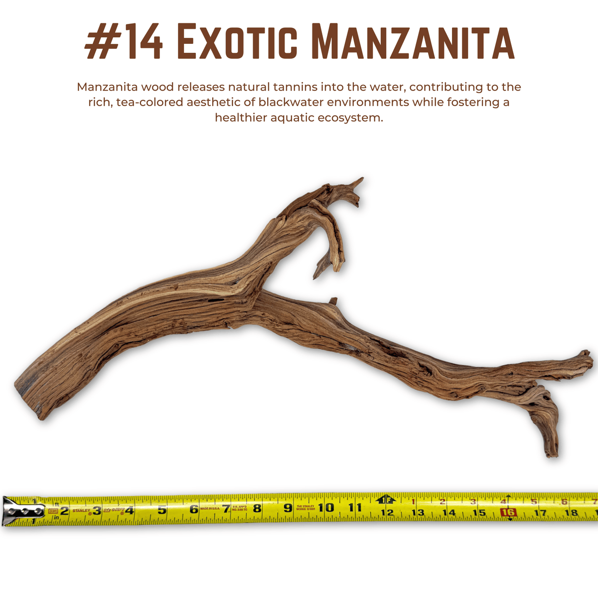 Exotic Manzanita | WYSIWYG Pieces