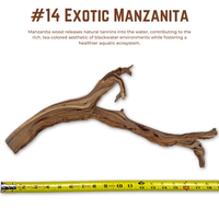 Exotic Manzanita | WYSIWYG Pieces