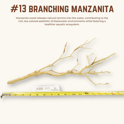 Branching Manzanita | WYSIWYG Pieces