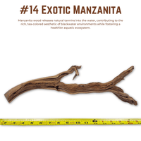 Exotic Manzanita | WYSIWYG Pieces