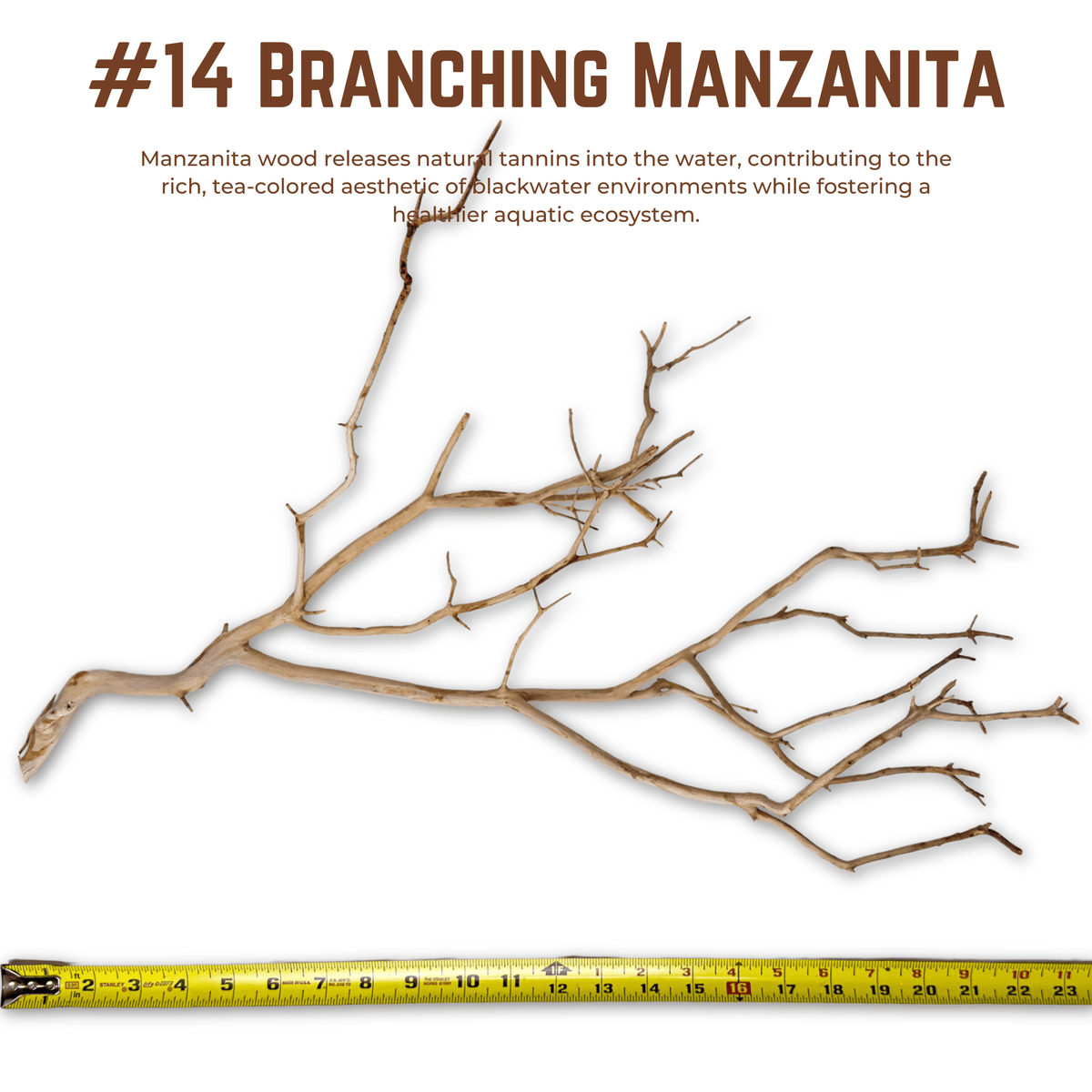 Branching Manzanita | WYSIWYG Pieces