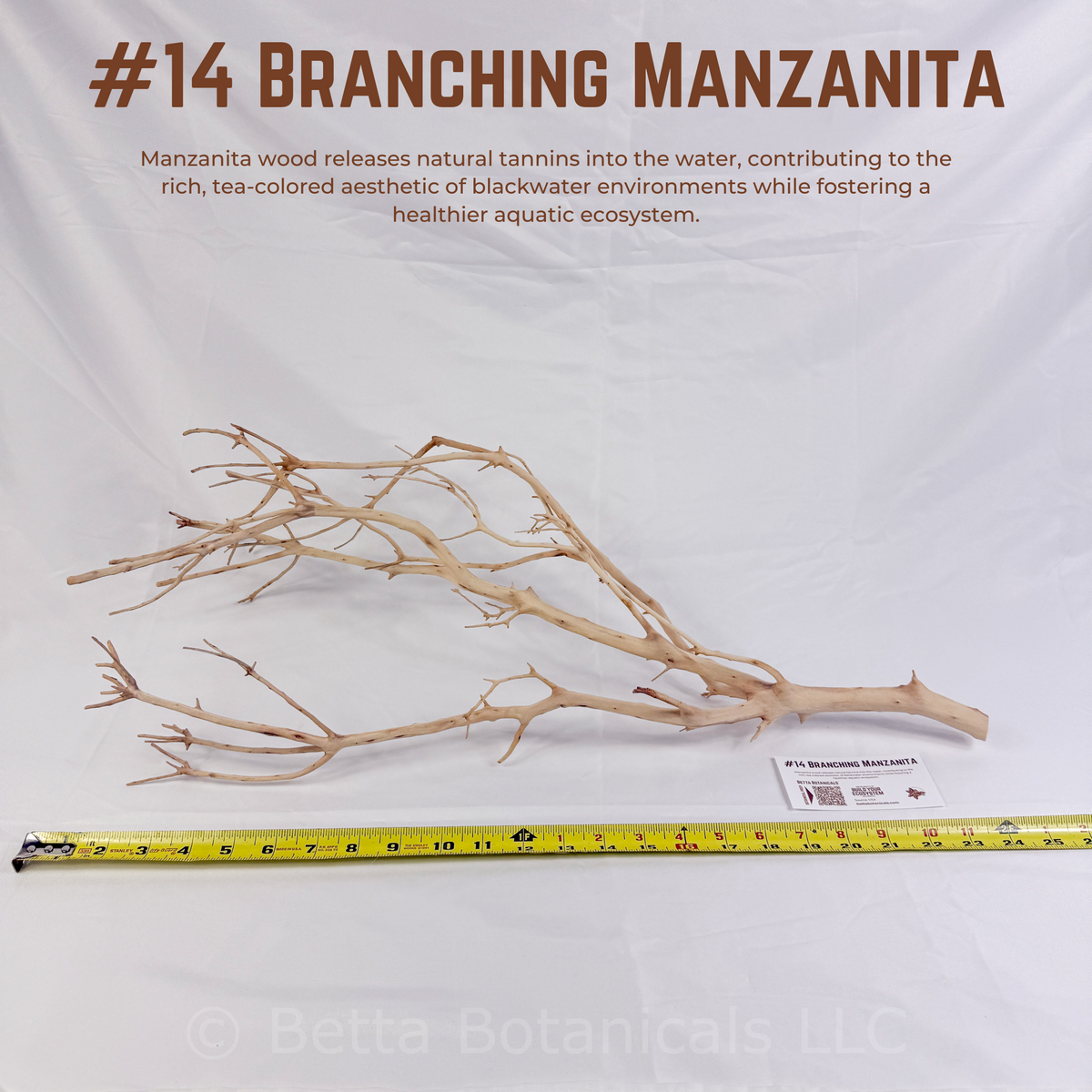 Branching Manzanita | WYSIWYG Pieces