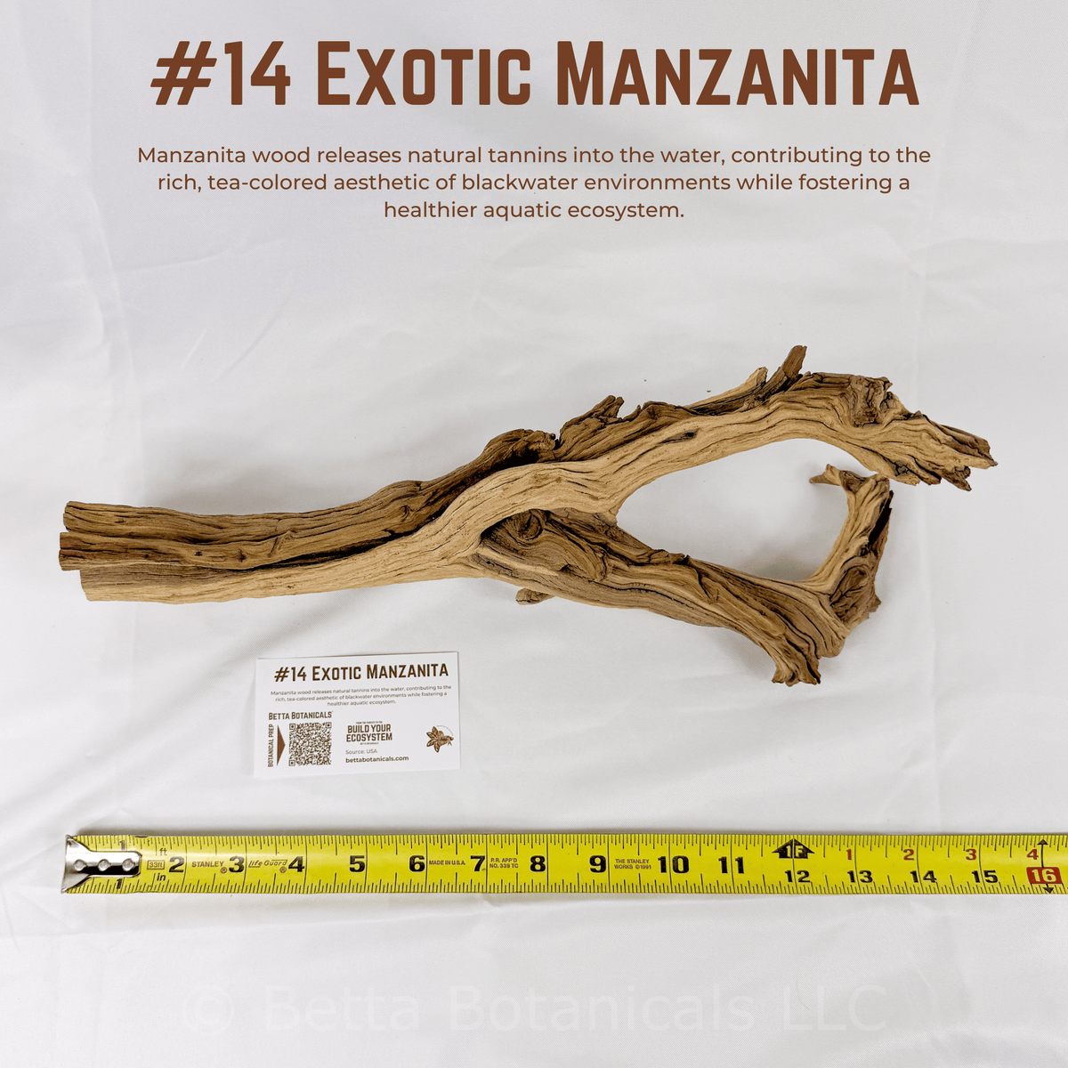 Exotic Manzanita | WYSIWYG Pieces