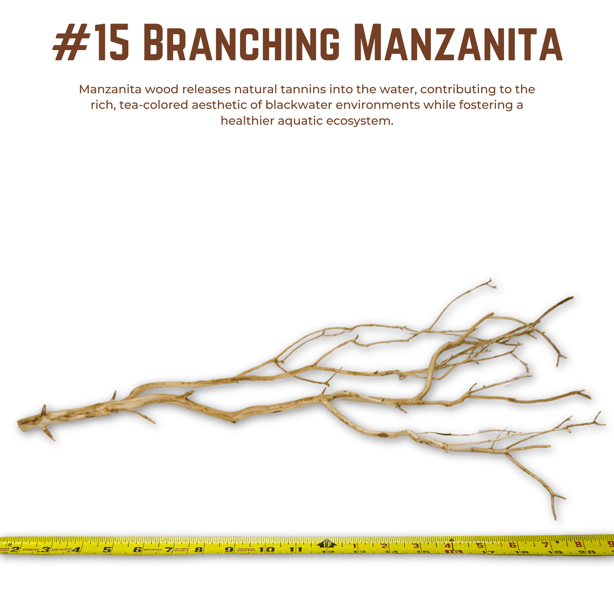 Branching Manzanita | WYSIWYG Pieces