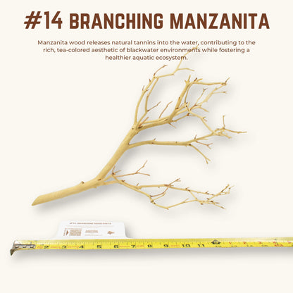 Branching Manzanita | WYSIWYG Pieces