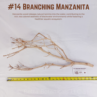 Branching Manzanita | WYSIWYG Pieces