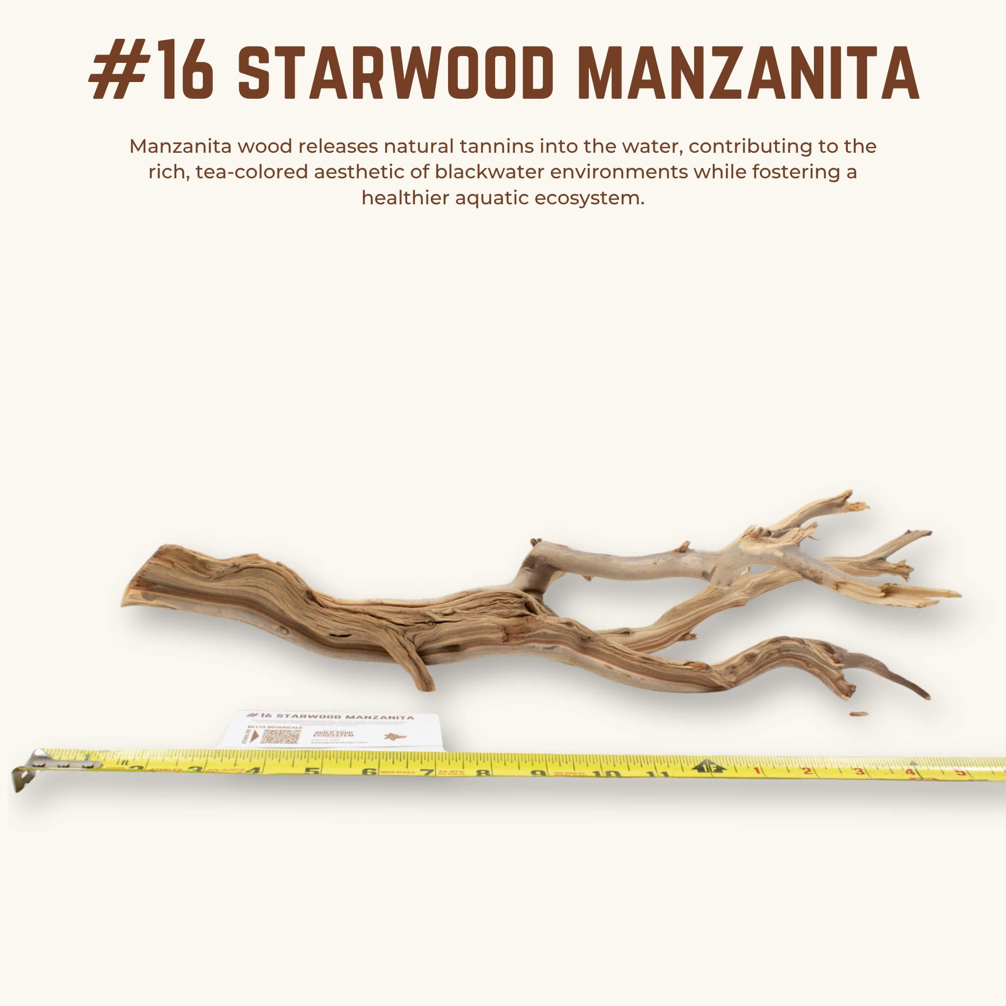 Starwood Manzanita | WYSIWYG Pieces