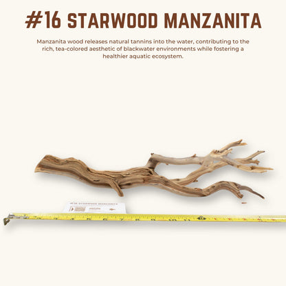 Starwood Manzanita | WYSIWYG Pieces