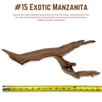 Exotic Manzanita | WYSIWYG Pieces