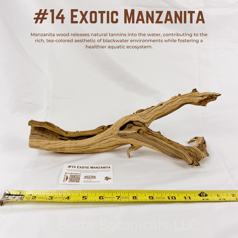 Exotic Manzanita | WYSIWYG Pieces