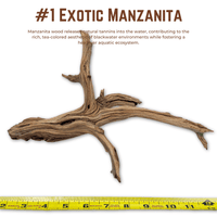 Exotic Manzanita | WYSIWYG Pieces