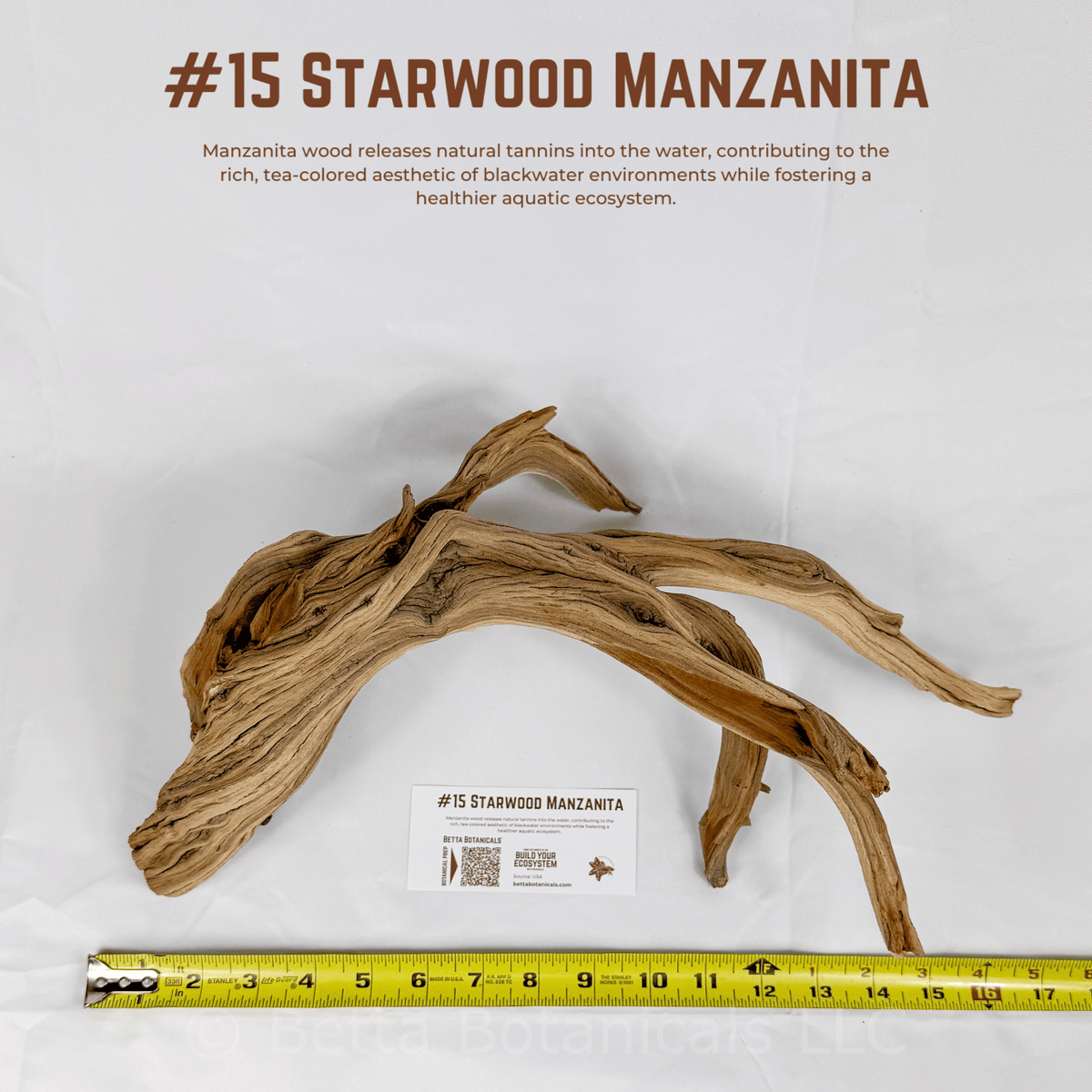 'Starwood' Manzanita | WYSIWYG Pieces