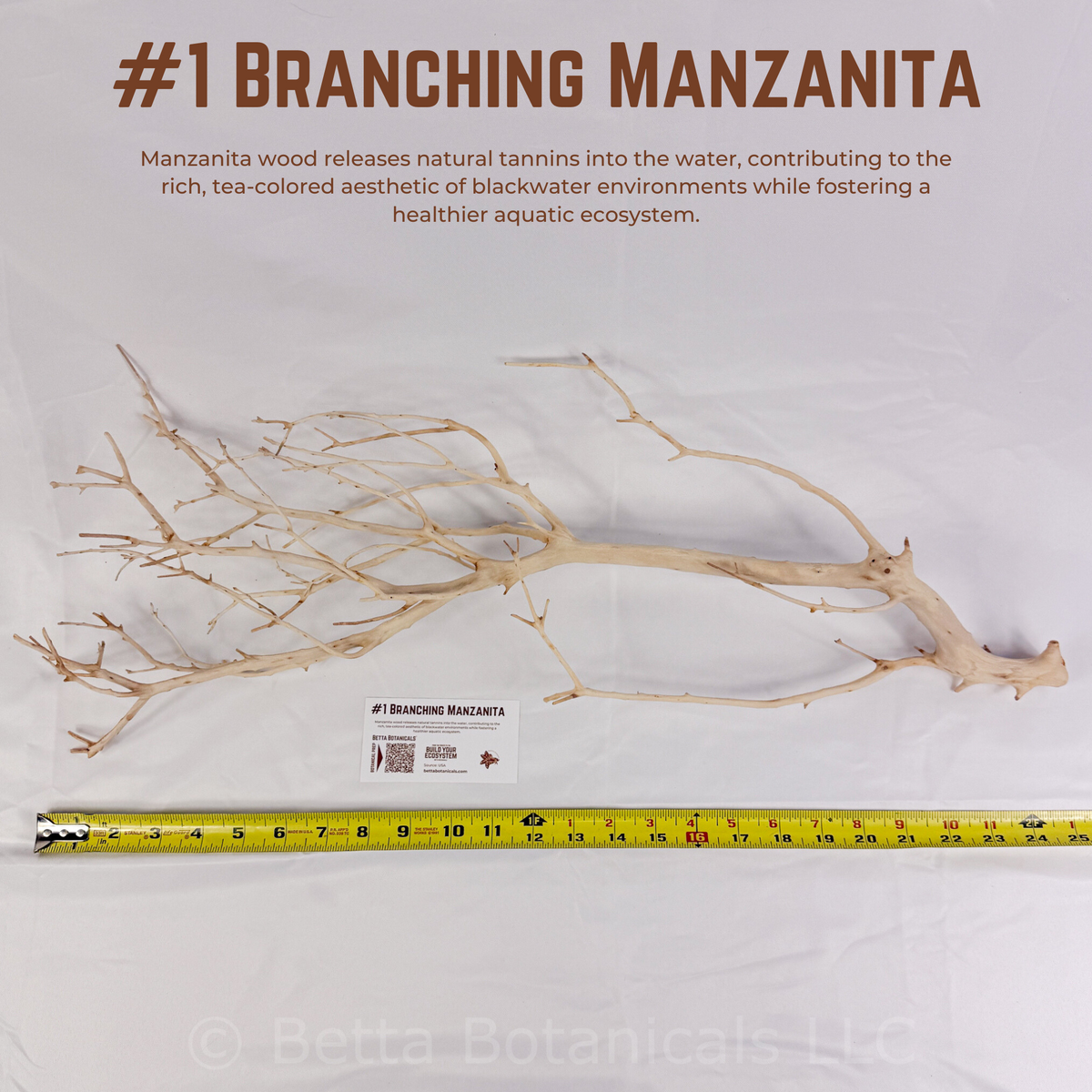 Branching Manzanita | WYSIWYG Pieces