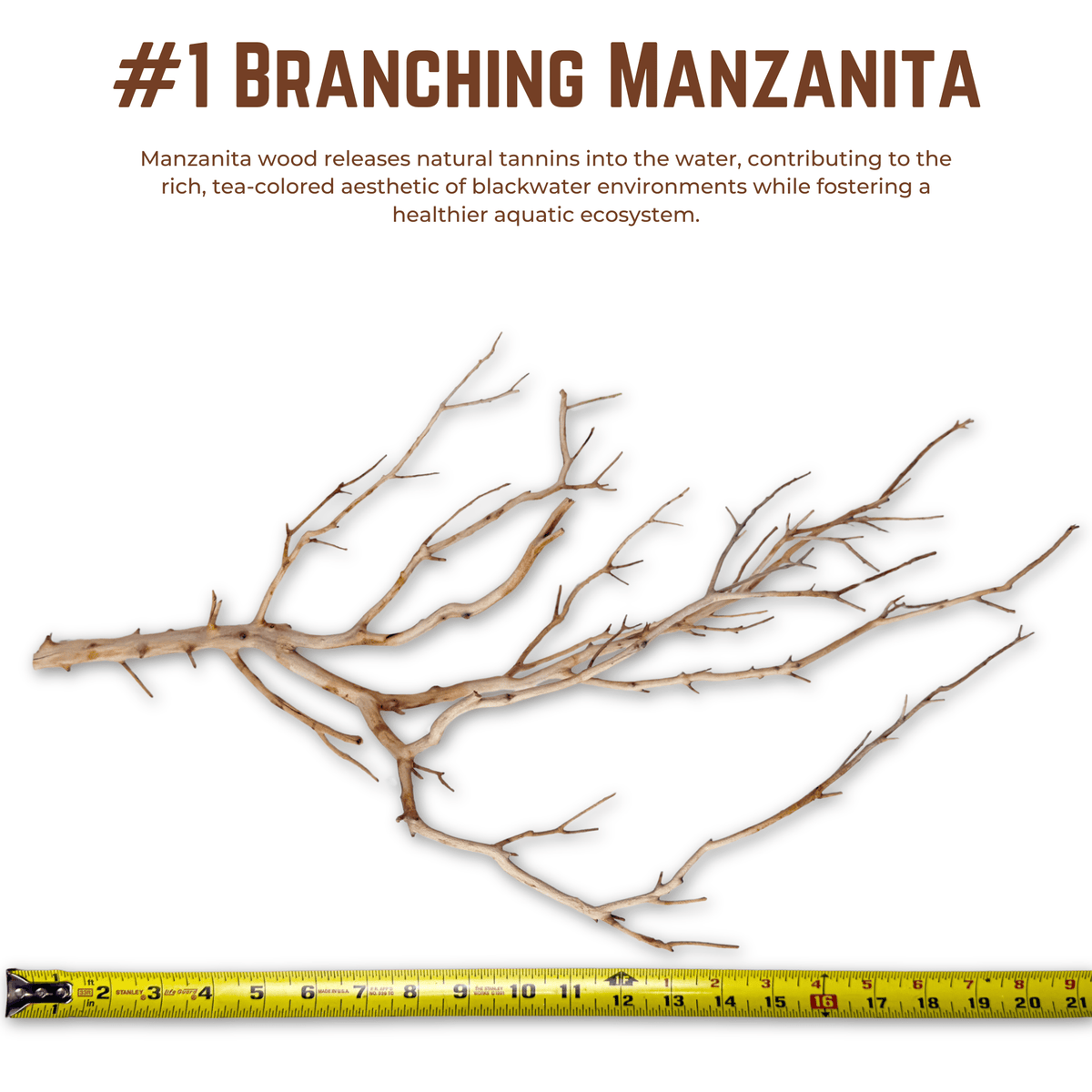 Branching Manzanita | WYSIWYG Pieces