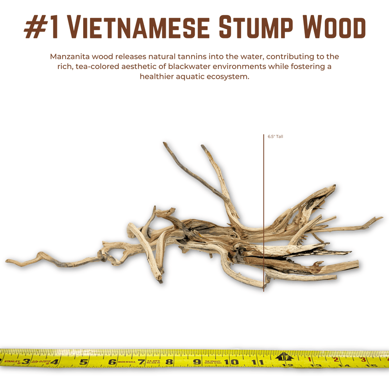 Vietnamese Stump Wood | WYSIWYG Pieces