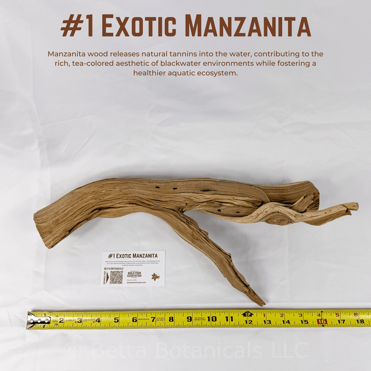 Exotic Manzanita | WYSIWYG Pieces