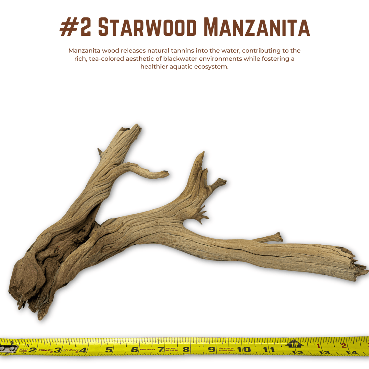 'Starwood' Manzanita | WYSIWYG Pieces