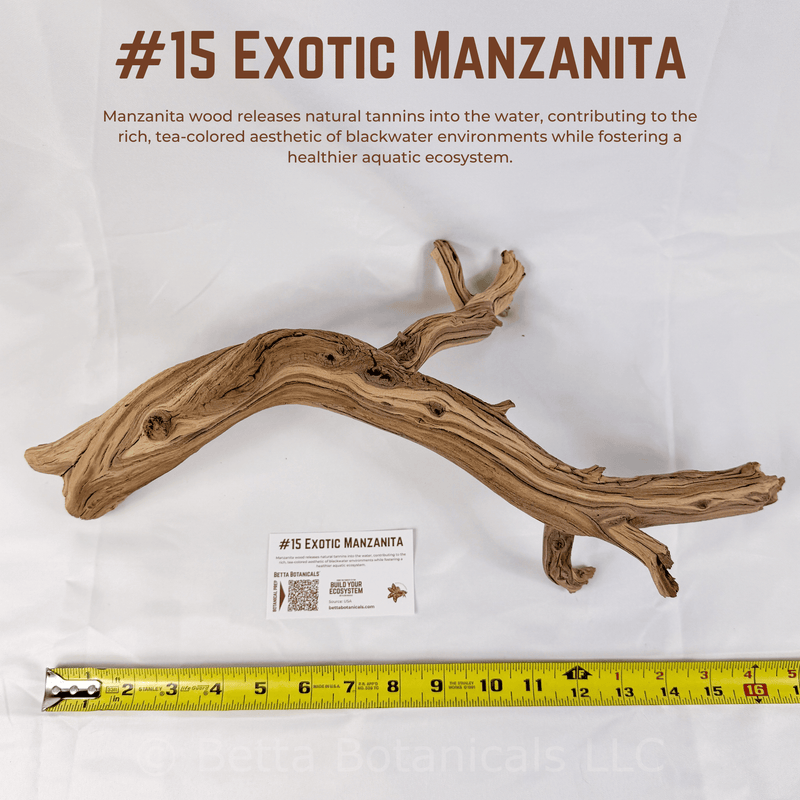 Exotic Manzanita | WYSIWYG Pieces