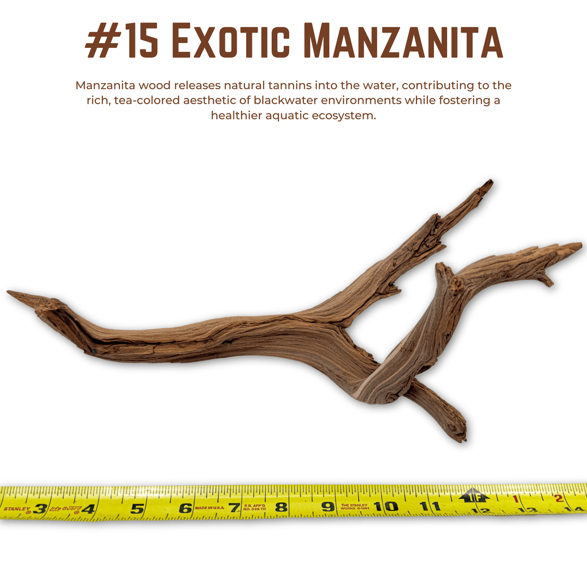 Exotic Manzanita | WYSIWYG Pieces