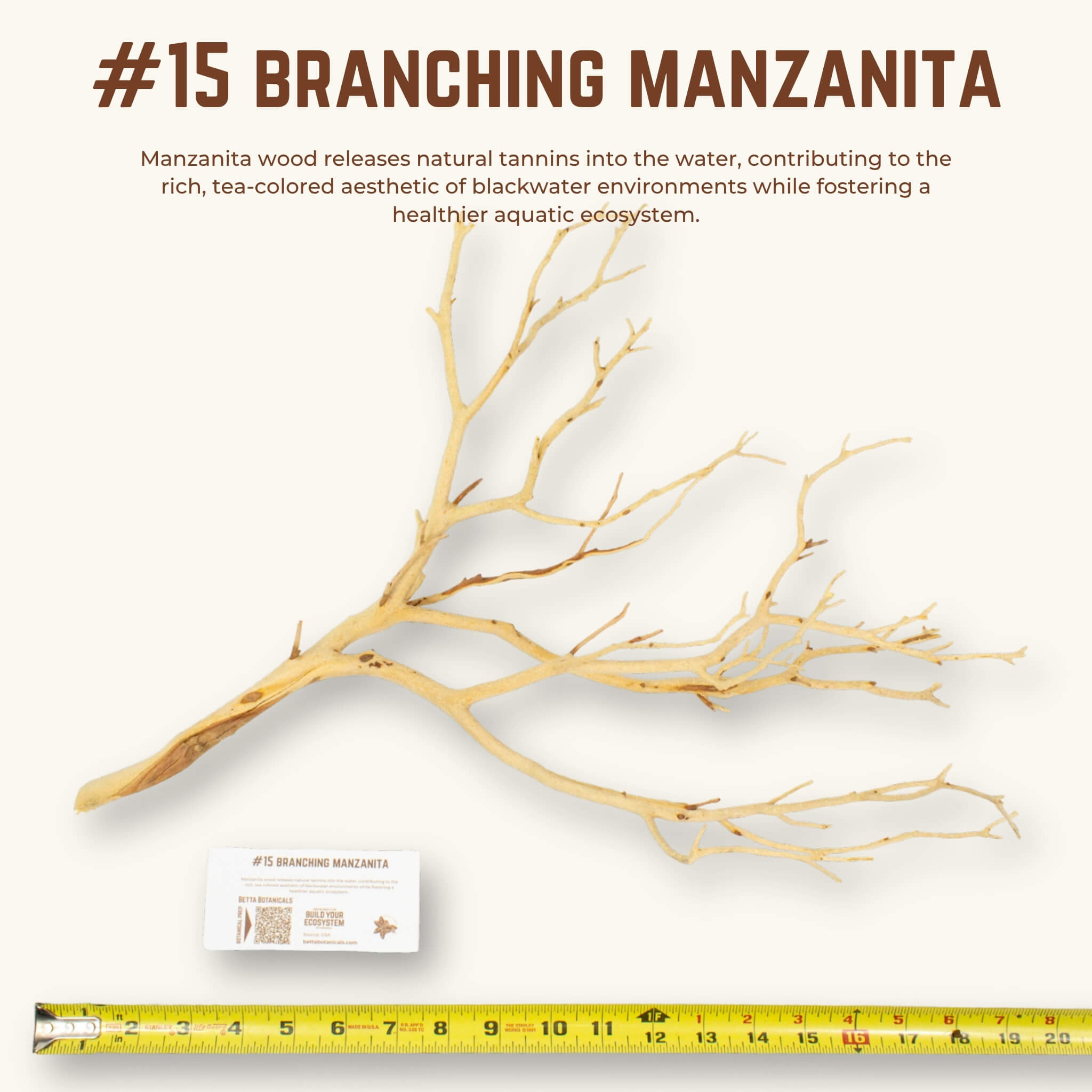Branching Manzanita | WYSIWYG Pieces
