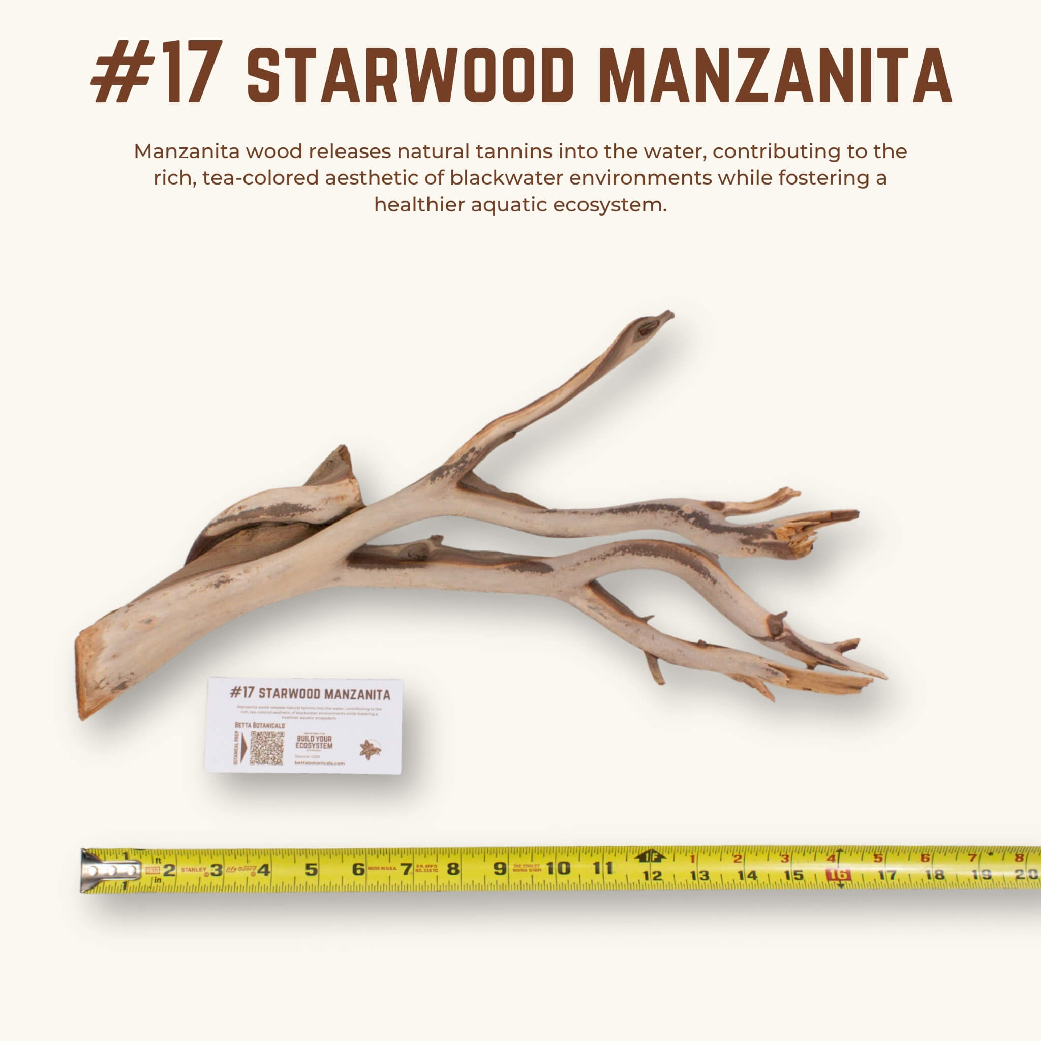 Starwood Manzanita | WYSIWYG Pieces