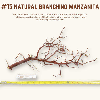 Natural Branching Manzanita | WYSIWYG Pieces